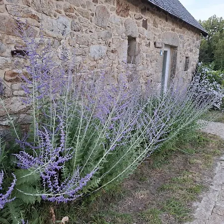 Les chambres du Manoir de Kerhel-3